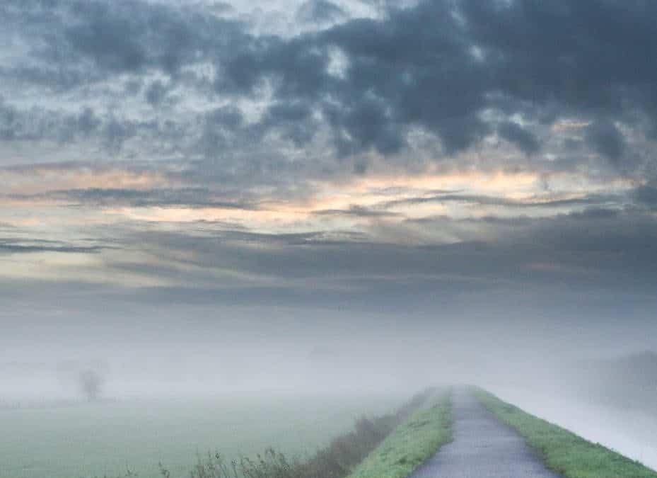 straight road near pond